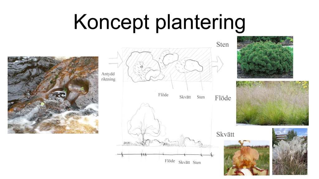 Presentationsbild av planteringarnas koncept för fickparken.