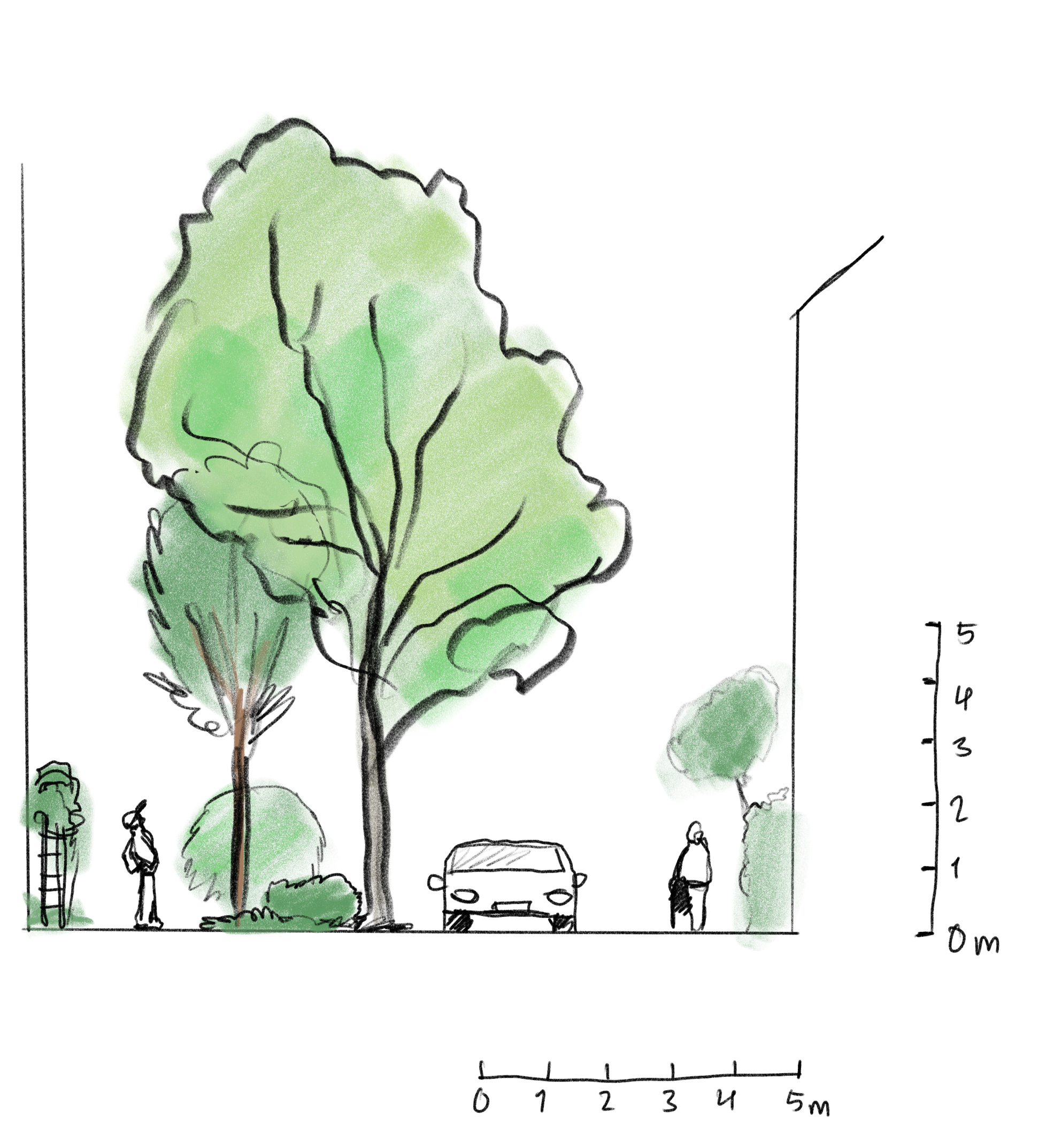 Illustration av principen för gränd vy, tecknad bild.