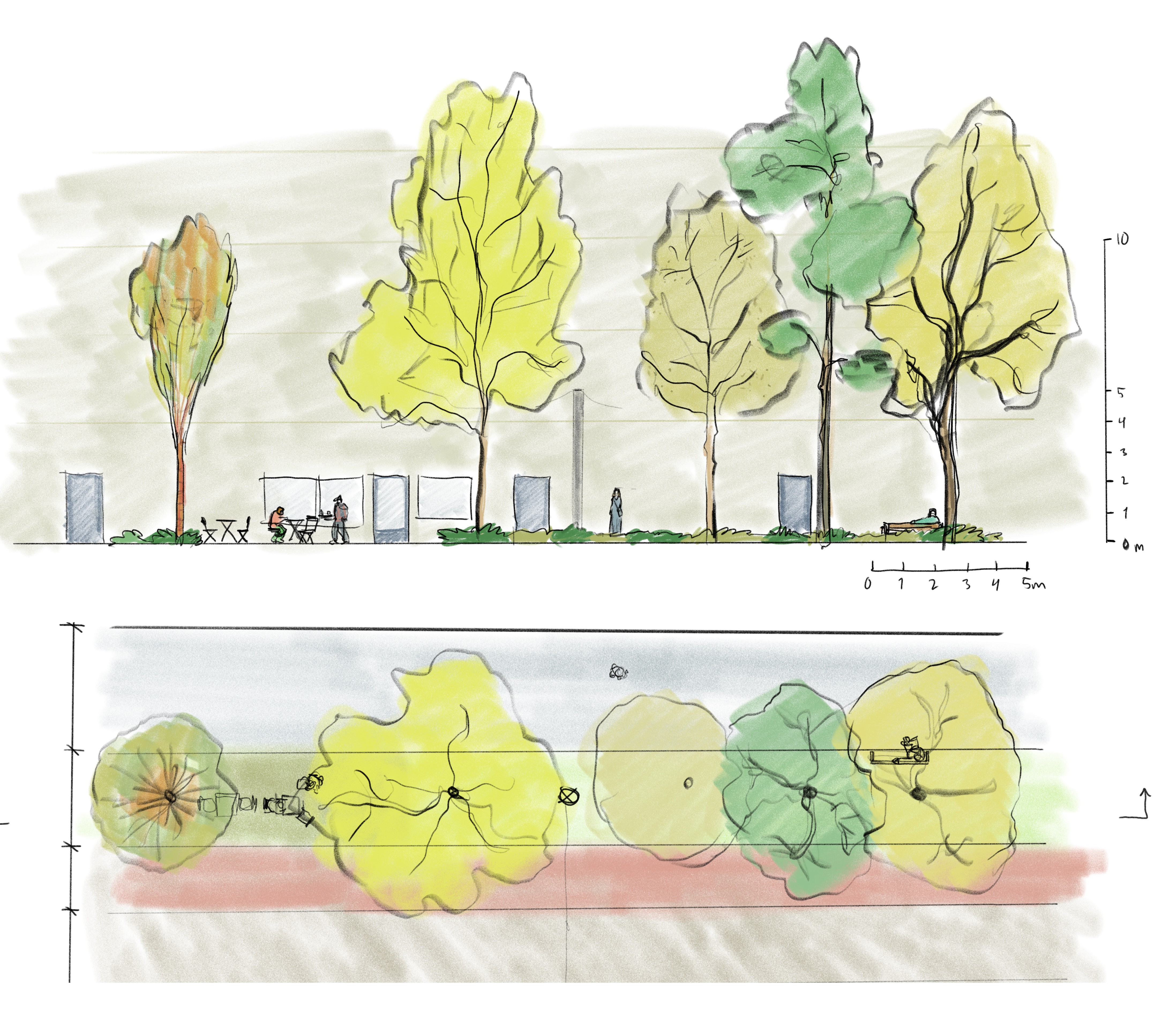 Illustration av principen för huvudgata, längdsektion och plan, tecknad bild.