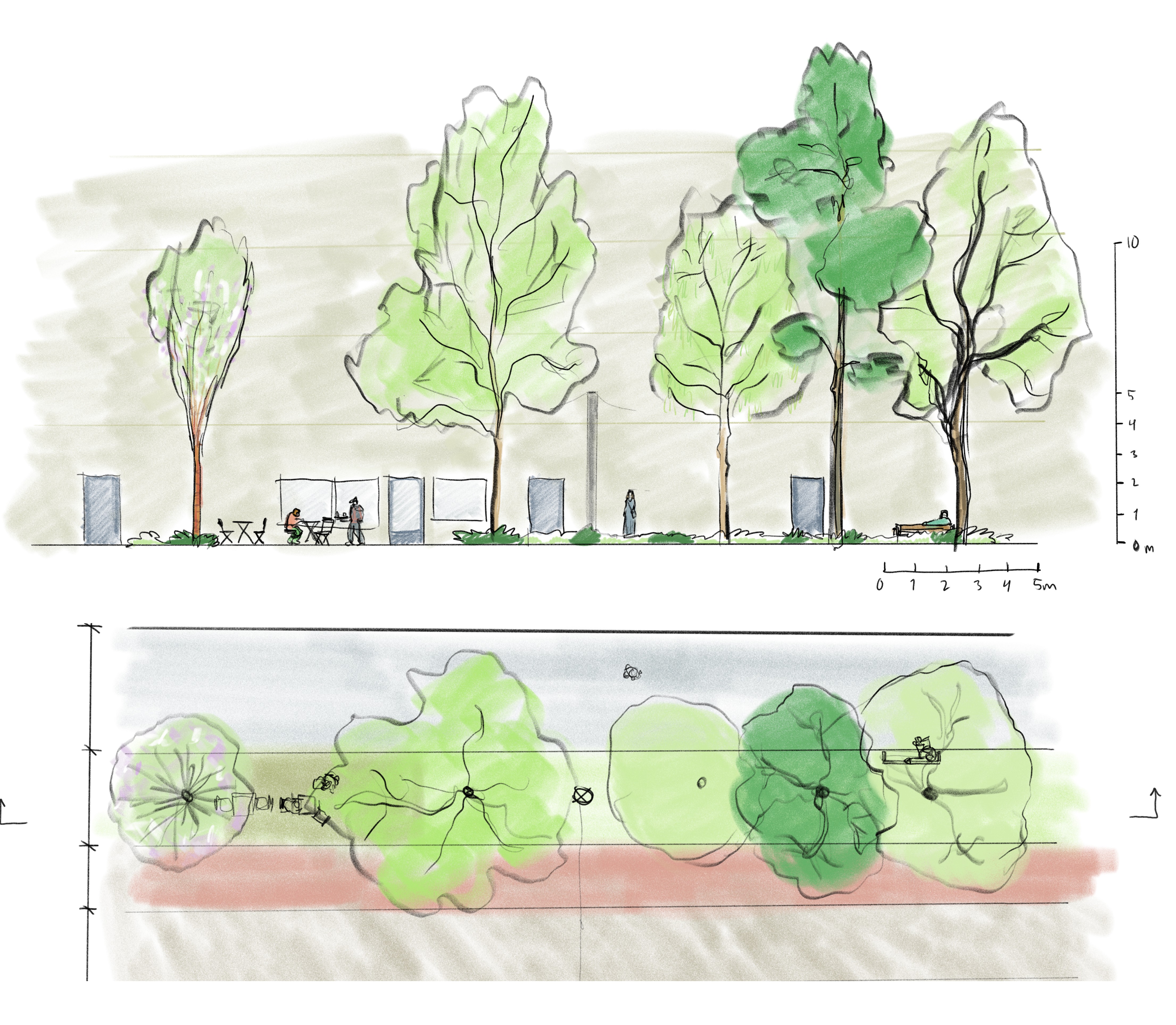 Illustration av principen för huvudgata, längdsektion och plan, tecknad bild.