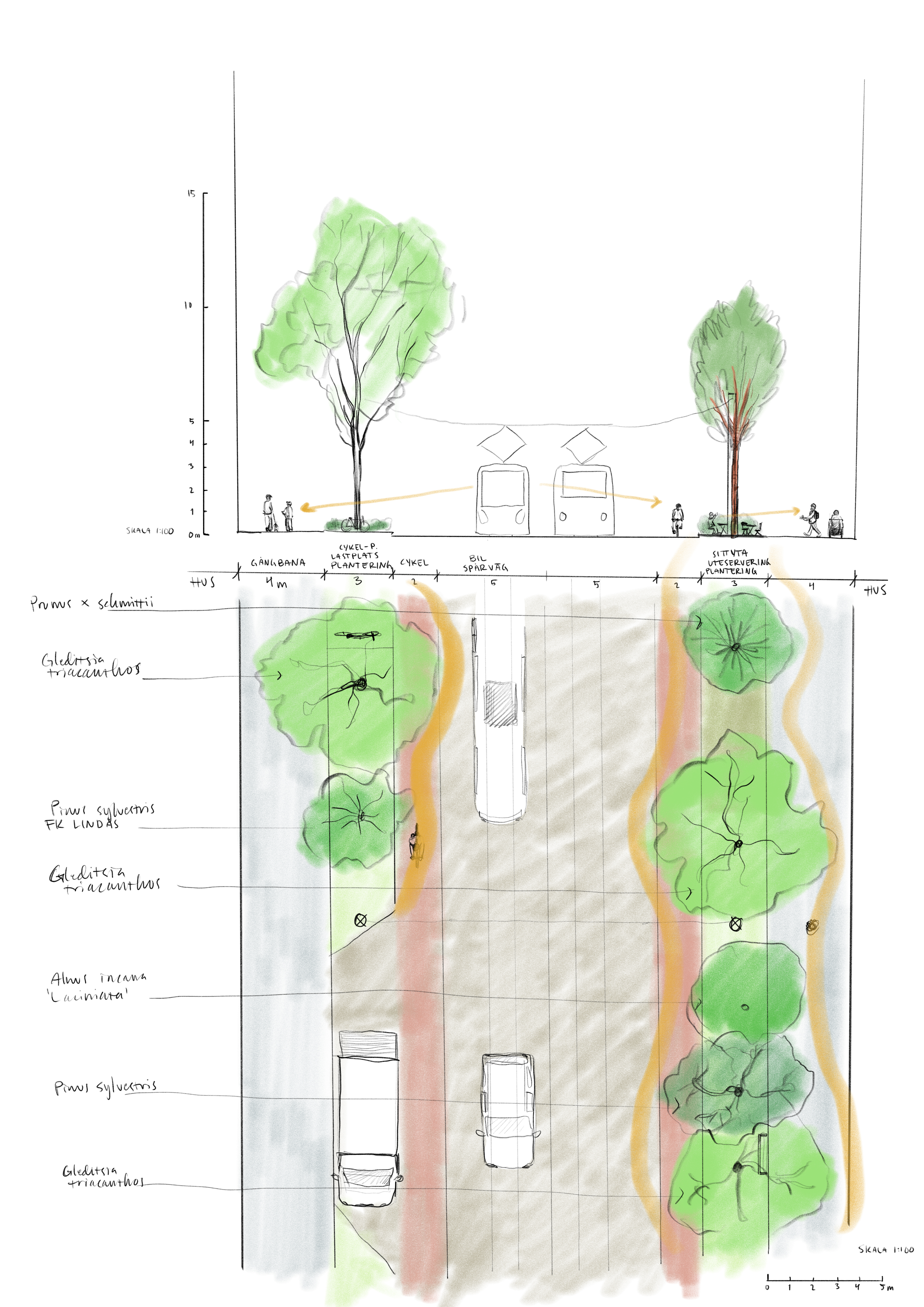 Illustration av principen för huvudgata, sektion och plan, tecknad bild.