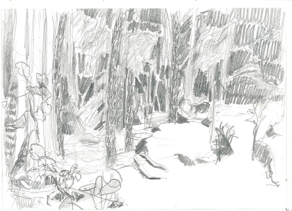 Teckningar för MEM-stipendium hedersomnämnande