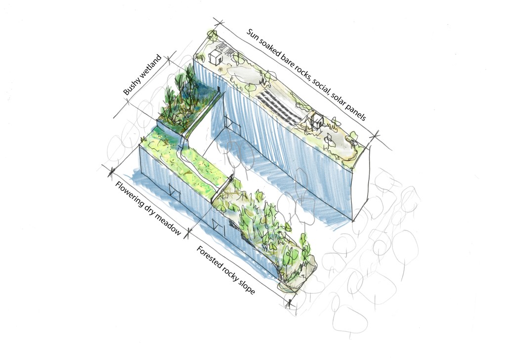Grönt tak urbanekologi
